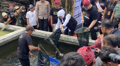 Khofifah Panen Lele di Kediri, Dorong Variasi Olahan untuk Menarik Minat Anak-anak