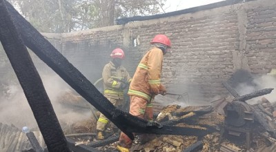 Rumah-Kandang Sapi di Lamongan Terbakar, Pemadaman Libatkan Damkar Bojonegoro