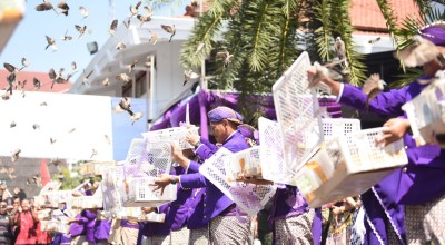 Lepas 1144 Burung Perkutut di Upacara Manusuk Sima, Mas Abu Selipkan Pesan Soal Lingkungan