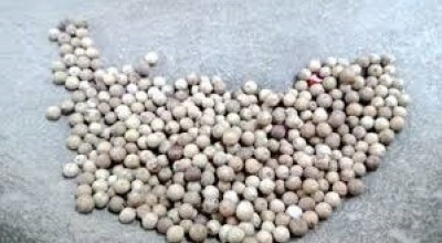 Dugaan Penipuan dan Penggelapan Jual Beli Merica, 1 Oknum PNS Dilaporkan ke Polda Jatim