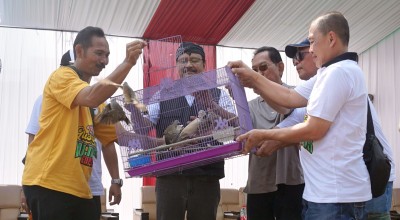 Lomba Burung Berkicau Wali Kota Cup Kembali Digelar, Pestanya Kicau Mania Pasuruan