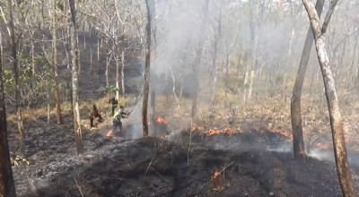 Hutan Lindung Ponorogo Terbakar, Jalan Raya Pulung-Sooko Dipenuhi Asap Tebal