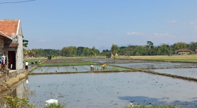Dipertahankan Ponorogo Upayakan Keseimbangan Harga dan Mutu Produksi Beras