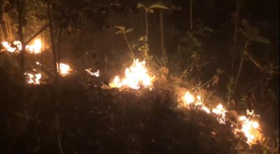 2 Hektar Hutan di Ponorogo Terbakar, BPBD Sulit Lakukan Pemadaman