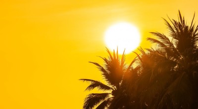 Hadapi El Nino, Warga Lamongan Diimbau Pakai Topi dan Baju Lengan Panjang