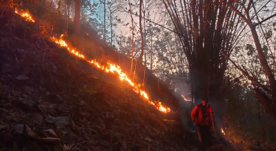 Kebakaran Hutan di Sambit Ponorogo, Warga Kehilangan Akses Sumber Air Bersih