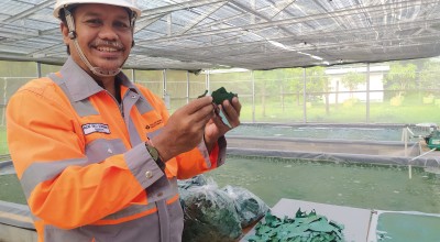 SIG Catatkan Laba Rp866 Miliar pada Semester I 2023