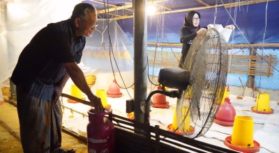 Langkah Mas Dhito Berhasil, Ratusan Peternak di Kediri Beralih Elpiji Non Subsidi