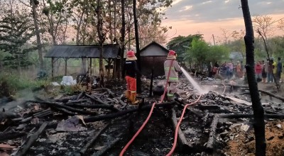 3 Kandang Sapi dan Rumah Terbakar di Lamongan, 7 Ekor Terpanggang