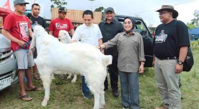 Kontes Kambing Senduro Piala Presiden Digelar di Lumajang, Ini Pesan Cak Thoriq