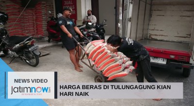 Video: Harga Beras di Tulungagung Kian Hari Naik