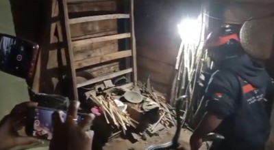 Dikira Suara Anak Ayam, Warga Trenggalek Kaget Ternyata Ular Kobra 4 Meter