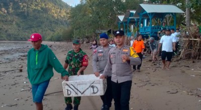 Puluhan Tukik Terdampar di Pantai Cengkrong Trenggalek, Kasihan Lo, Rek