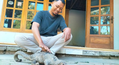Warga Ponorogo Kaget Temukan Hewan Bersisik Ini Terluka, Semula Dikira Ular