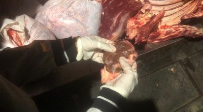 Waspada! Daging Gelonggongan Masuk Surabaya, Ini Bahayanya untuk Kesehatan