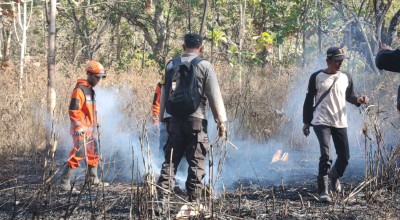 Tim Gabungan BPBD Kota Kediri Padamkan Api yang Menjalar di Bukit Klotok