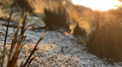 Bromo Probolinggo Berselimut Kristal Es, Suhu Dingin 6-8 Derajat Celcius