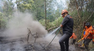 Kebakaran di Kawasan Wisata Bromo Berhasil Dipadamkan
