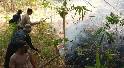 Lereng Barat Gunung Budeg Tulungagung Terbakar, Pendakian Ditutup
