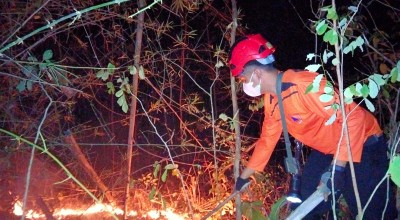 Hutan Gunung Orak-Arik Trenggalek Terbakar, Petugas Masih Lakukan Penyelidikan