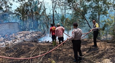 Si Jago Merah Lalap Habis Rumah Nenek Katijem di Pacitan