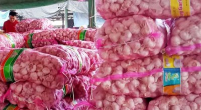 Harga Bawang Putih Meroket, Kejagung Didesak Usut Dugaan Permainan Kuota