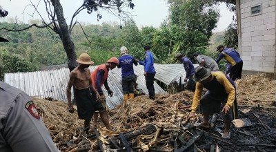 Api Sulut Kandang di Lereng Wilis Kediri, Paha Sapi Terkena Luka Bakar