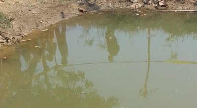 Mayat Misterius di Empang Lamongan Diduga Korban Pembunuhan