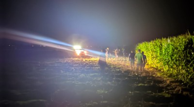 Geger, Warga Malo Bojonegoro Mengaku Lihat Macan Misterius di Ladang Jagung