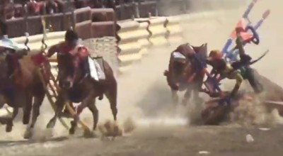 Dua Pasang Karapan Sapi Tabrakan Saat Bertanding di Bangkalan