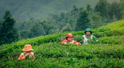 Hari Pangan Sedunia, Program Makmur Petrokimia Gresik Jaga Ketahanan Pangan Nasional dan Keberlanjutan Pertanian