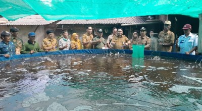 Cara Pemkab Malang Tingkatan Pendapatan Warga dari Budidaya Ikan Tawar