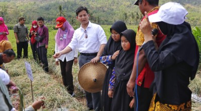 Bupati Arifin Panen Bawang Merah di Kecamatan Kampak Trenggalek