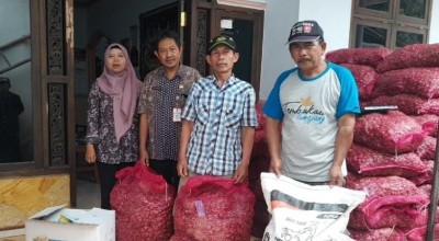 Manfaatkan DBHCHT,  3,5 Ton Bibit Bawang Merah Diberikan Pemkab Lumajang untuk Poktan Dewi Sri