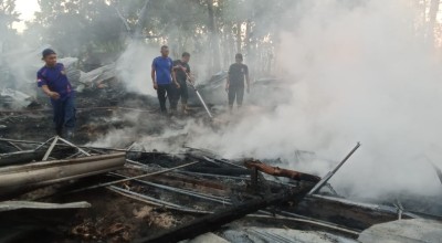 14 Ribu Ayam Mati Terpanggang di Ponorogo, Kerugian Rp1,3 Miliar