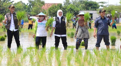 Tuban Gunakan Pupuk Organik, Bupati Halindra: Di Sini Petani Sangat Diuntungkan