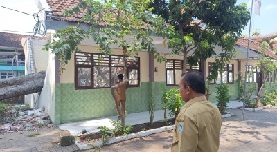SDN 1 Tambakmenjangan Lamongan Rusak Tertimpa Pohon, Dianggarkan Perbaikan Tahun 2024