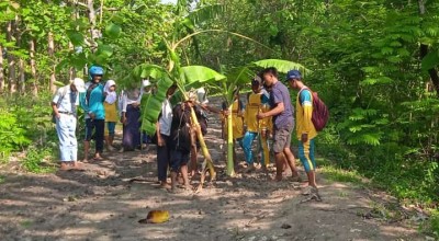 Video Viral, Pelajar Bojonegoro Bolos Tanam Pisang di Tengah Jalan