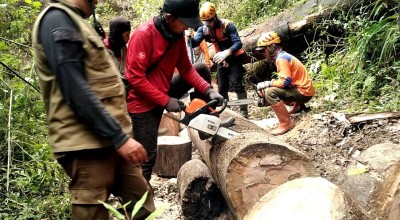 Antisipasi Banjir Bandang Kota Batu, Relawan Turun Jurang Potong Puluhan Batang Pohon