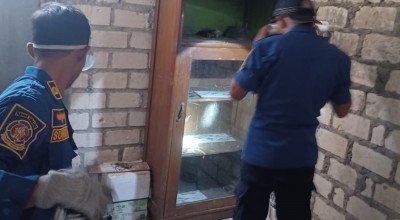 Musim Pancaroba di Lamongan, Damkar Sibuk Evakuasi Hewan Liar Masuk Rumah Warga