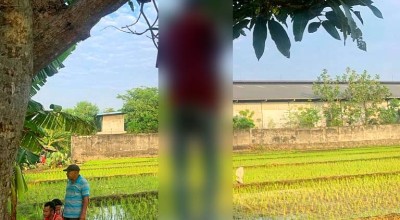 Pria Gantung Diri di Pohon Mangga Tepi Sawah Sidoarjo Gemparkan Warga