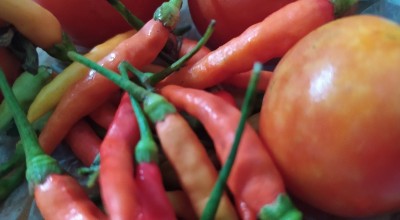 Kemarau Panjang, Harga Bahan Pokok di Sumenep Merangkak Naik