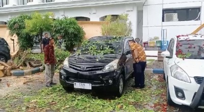 Pohon Tumbang di Halaman Pemkab Ponorogo, 2 Mobil Ringsek