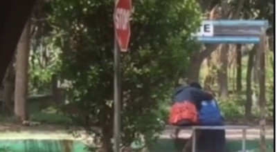 Viral, Sejoli Bercumbu Diduga di Taman Bunga Merjosari Kota Malang