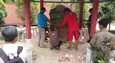 Begini Proses Pemindahan Prasasti Lawadan ke Museum Daerah Tulungagung