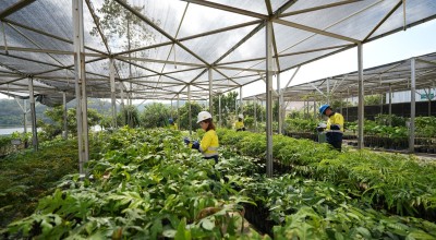 PT Merdeka Copper Gold Tbk Raih 2 Penghargaan Internasional