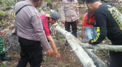 Kakek Asal Trenggalek Tewas Tertimpa Pohon di Ladang
