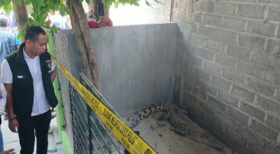 Polres Tulungagung Amankan Satwa Liar Dilndungi Milik Warga Desa Ngunut