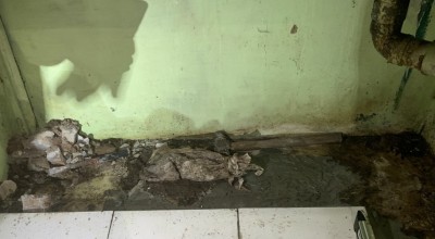 Tukang Bangunan Temukan Kerangka Diduga Bayi Saat Renovasi Rumah Kosong di Surabaya