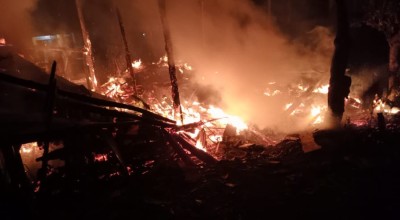 Gegara Bediang, Kandang Terbakar dan Seekor Sapi Terpanggang di Lamongan